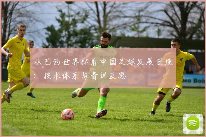 从巴西世界杯看中国足球发展困境：技术体系与青训反思